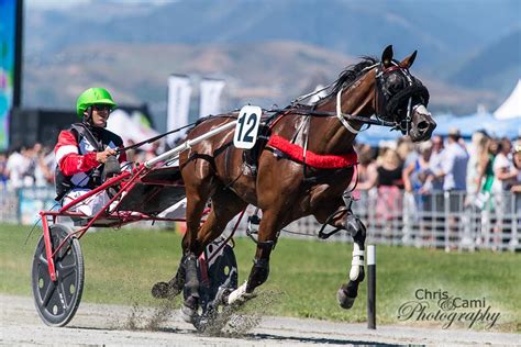 harness racing nz|nz harness racing today.